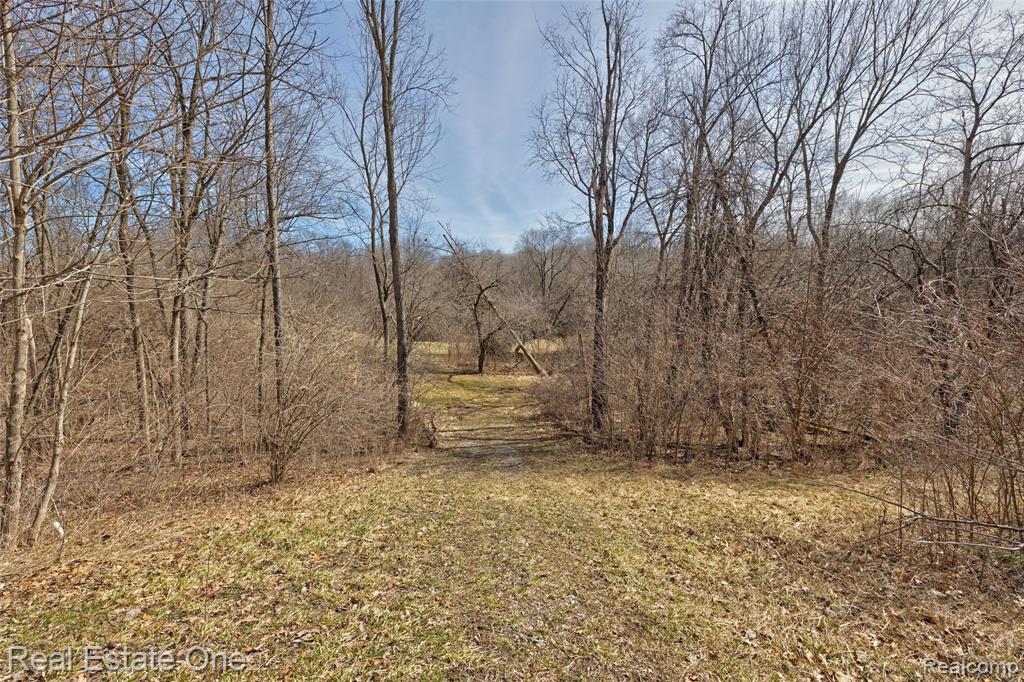 5307 Metamora Road, Metamora, MI 48455 — Photo 79