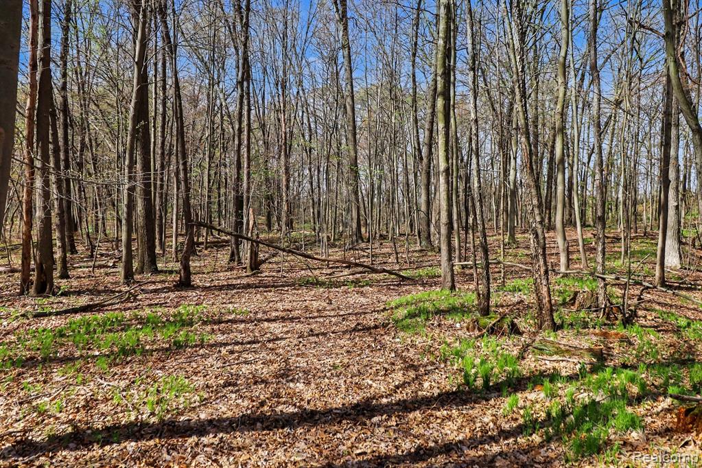 8815 Milford Road, Holly, MI 48442 — Photo 17