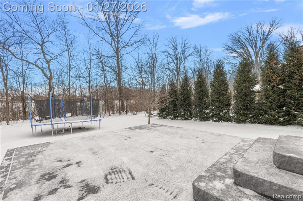 43149 Wilderness Drive, Canton, MI 48188 — Photo 29