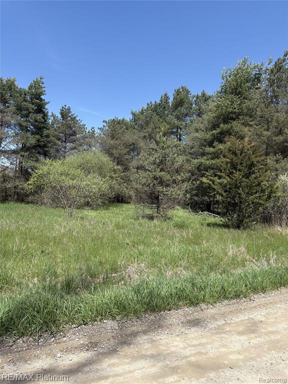 Parcel 3 Pineway Trail, Howell, MI 48855 — Photo 4