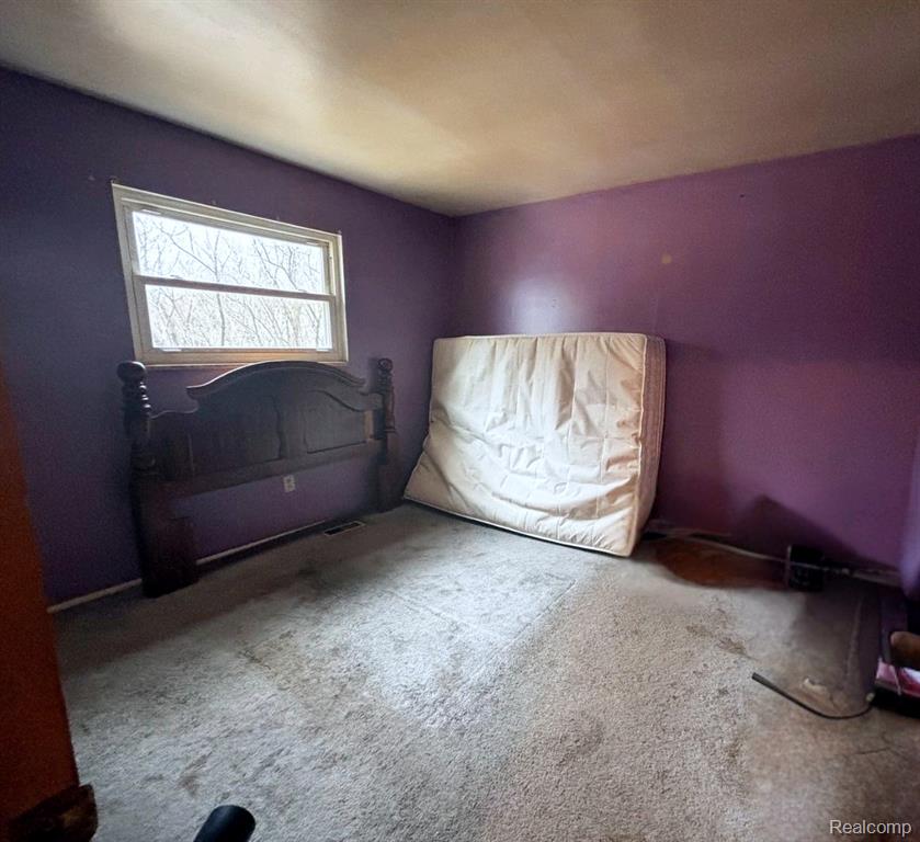 15927 Briggs Road, Chesaning, MI 48616 — Photo 5