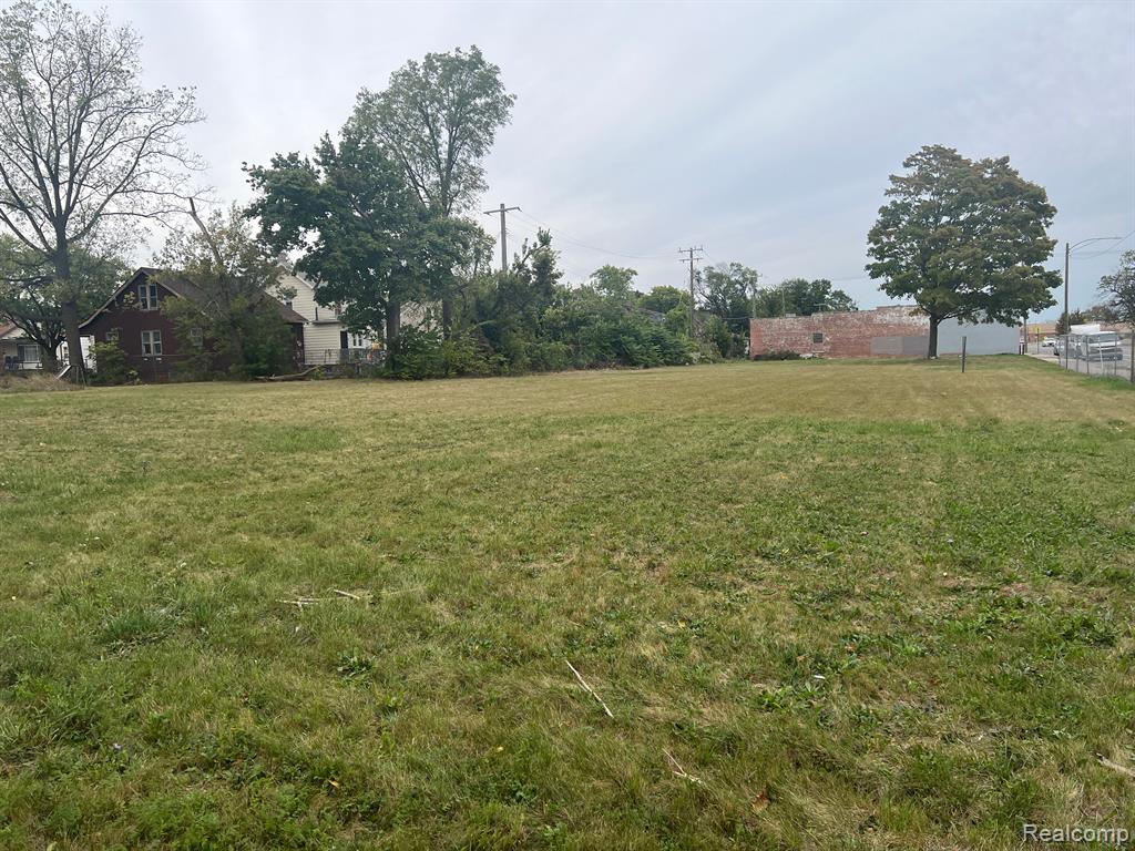 10372 W CHICAGO, Detroit, MI 48204 — Photo 4