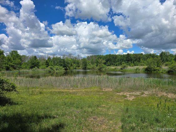 4202 Kingston Road, Kingston, MI 48741 — Photo 43