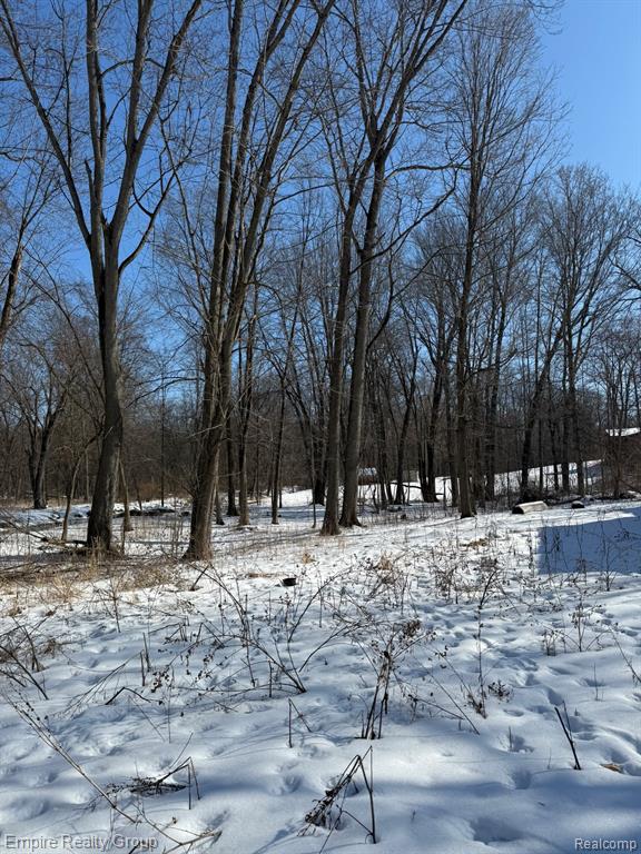 660 Fitchburg Road, Stockbridge, MI 49285 — Photo 11