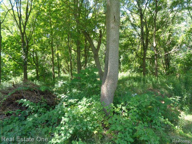 18985 TRINITY Street, Detroit, MI 48219 — Photo 7