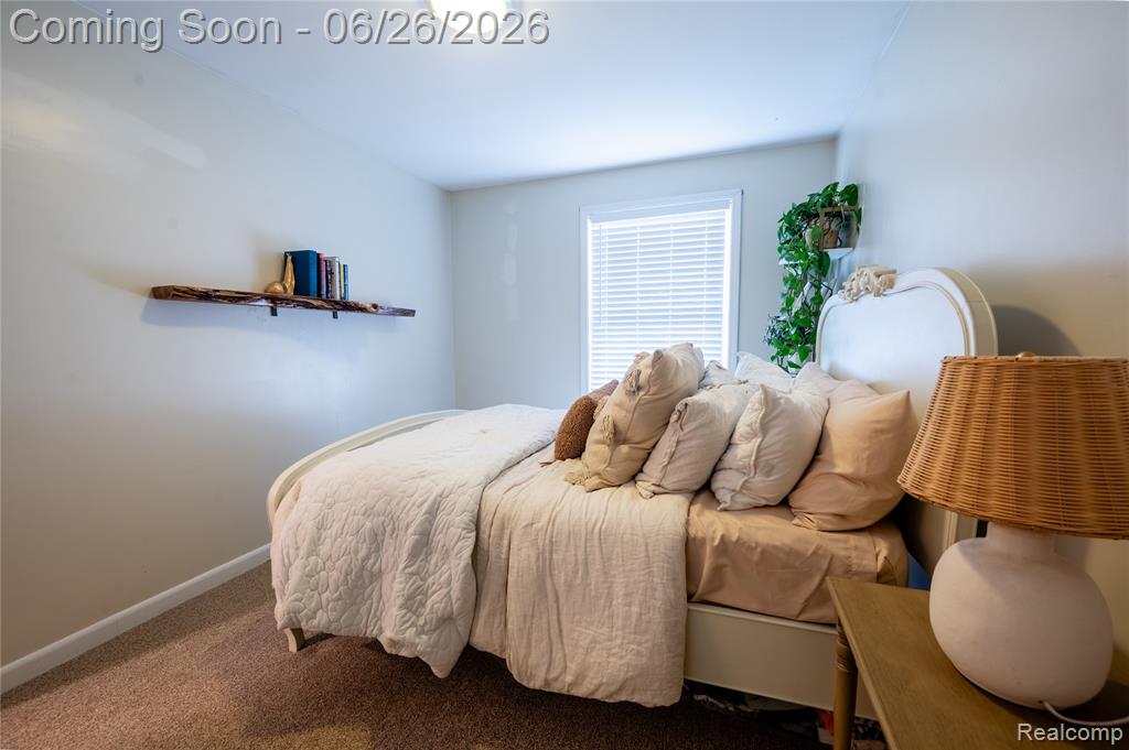 429 Dorothy Street, South Lyon, MI 48178 — Photo 24