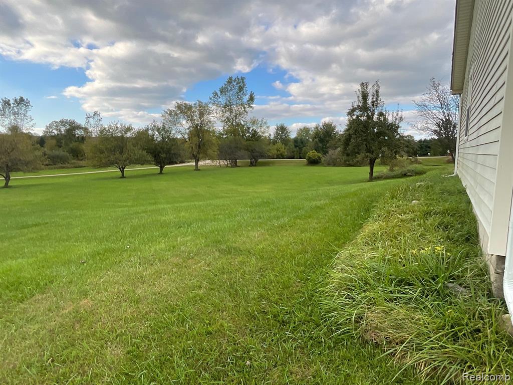 3076 KINGS MILL Road, North Branch, MI 48461 — Photo 14