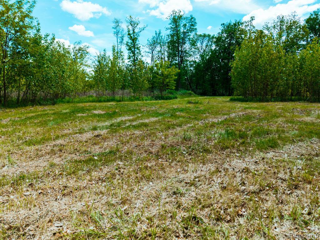 C-1 DOA Lane, Brighton, MI 48114 — Photo 13