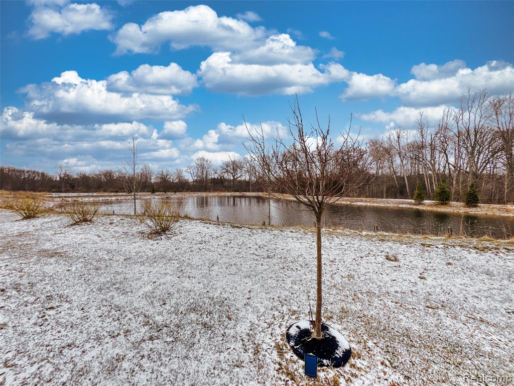 4172 Walcott Drive, Lake Orion, MI — Photo 39