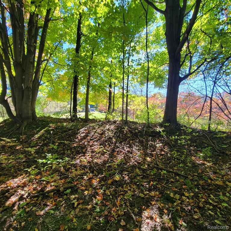 5782 LYONS Road, Imlay City, MI 48444 — Photo 34