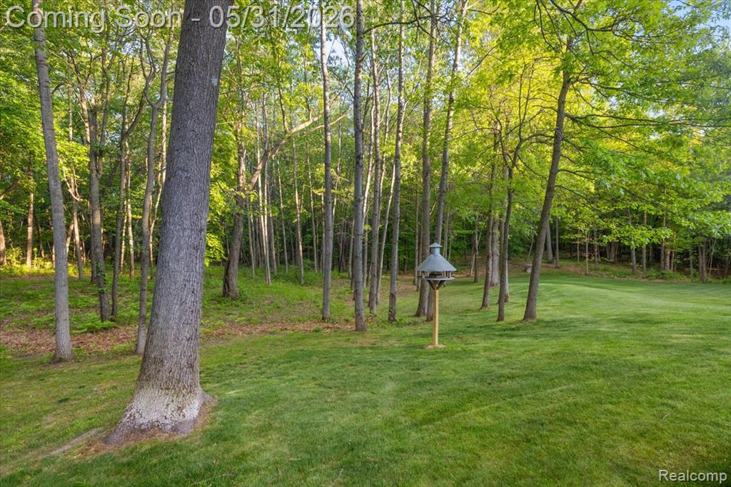 500 Hawk High Hill Road, Metamora, MI 48455 — Photo 6