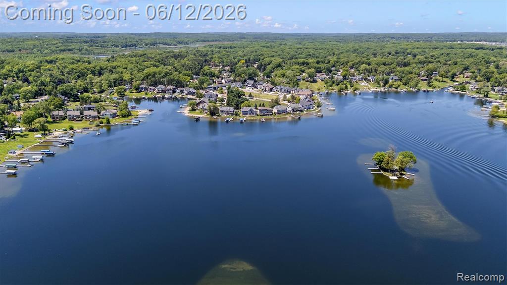 3300 Mimosa Street, Commerce Twp, MI 48390 — Photo 25