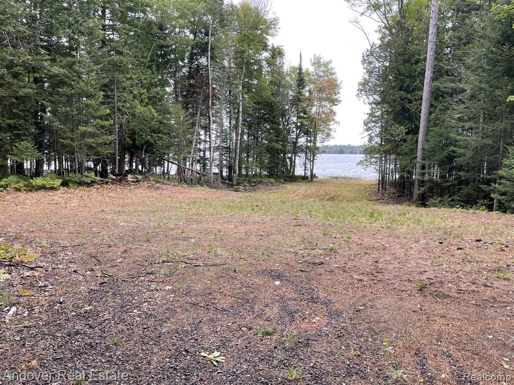 Lot# 11 Western, MI — Photo 6
