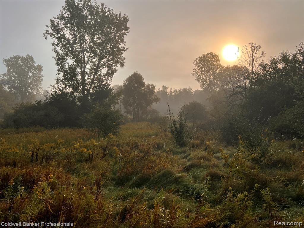 4380 Warwick Circle Drive, Grand Blanc, MI 48439 — Photo 41