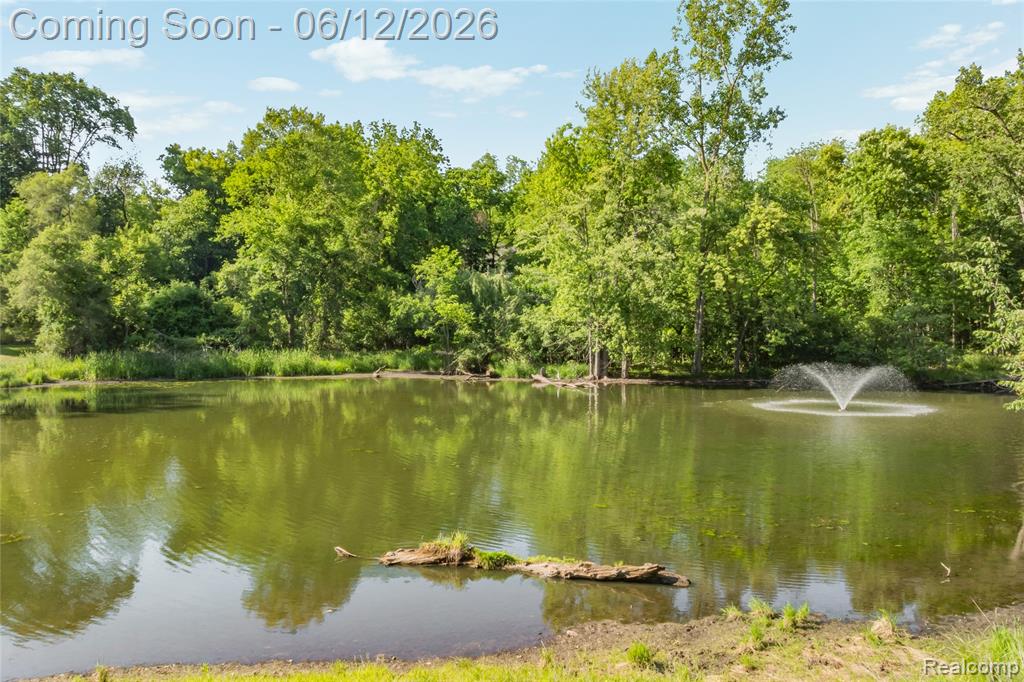 905 Spring Drive, Northville, MI 48167 — Photo 93