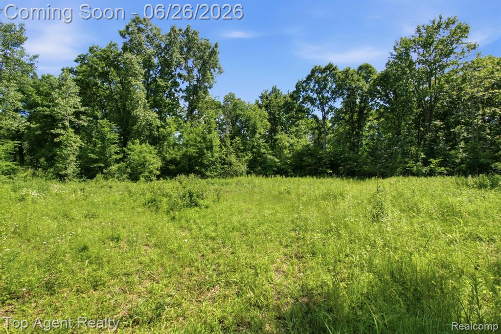 657 DONNA MAE, Leonard, MI 48367 — Photo 11