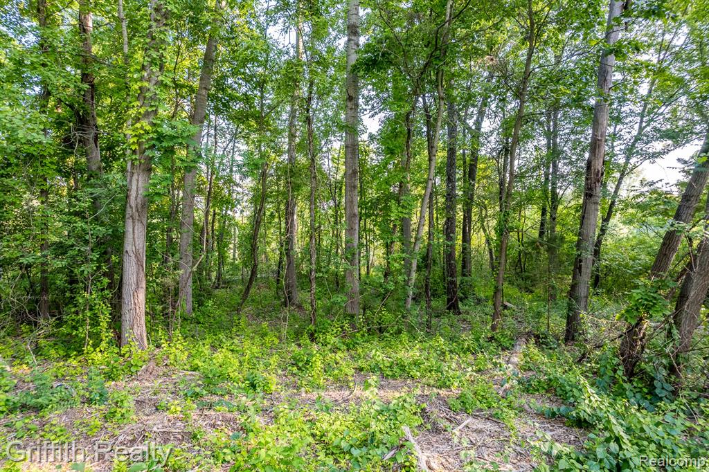 4433 Brighton Parcel B Road, Howell, MI 48843 — Photo 10
