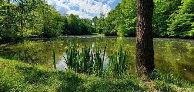 4693 Hegel Road, Goodrich Vlg, MI — Photo 41