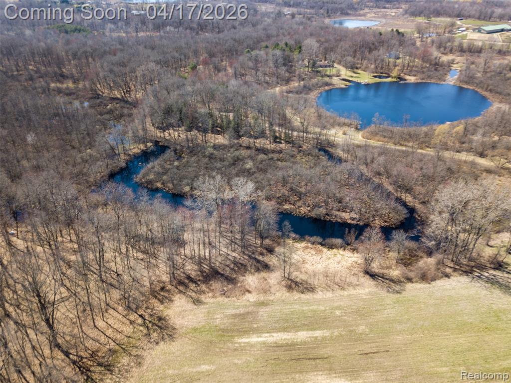 825 W Rose Center Road, Holly, MI 48442 — Photo 29