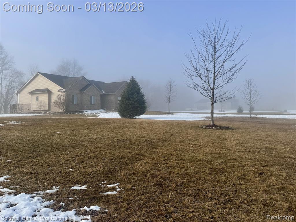 6060 INTRINSIC Lane, Imlay City, MI 48444 — Photo 42