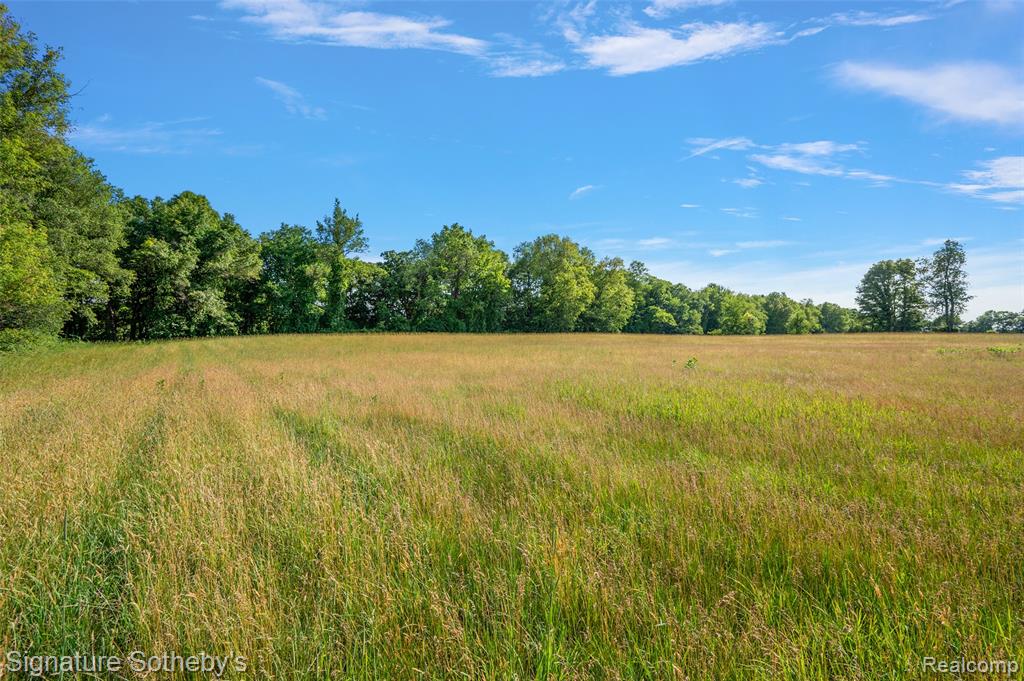 3915 McGinnis Road, Holly, MI 48442 — Photo 15