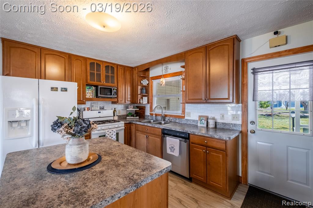 1962 Lake Pointe Drive, Ortonville, MI 48462 — Photo 5