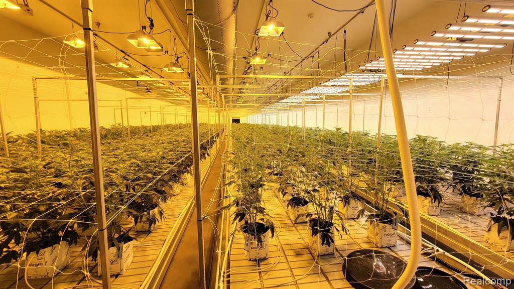 515 HAMMONTREE Drive, Morenci, MI 49256 — Photo 26