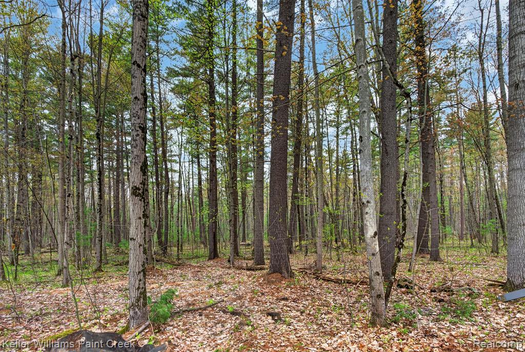 v/l E Pinecrest Drive, Gladwin, MI 48624 — Photo 8