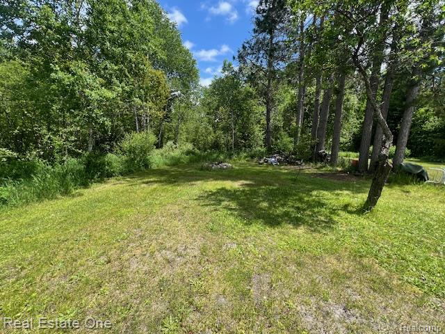 10264 State Highway M123, Newberry, MI 49868 — Photo 53