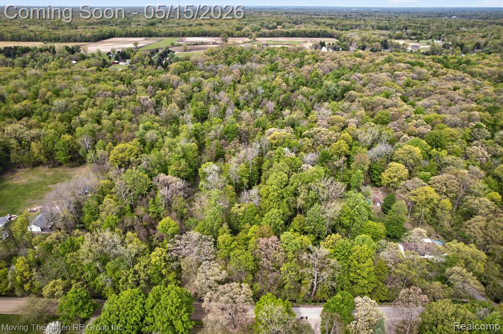 22530 Bohn Road, Belleville, MI 48111 — Photo 23