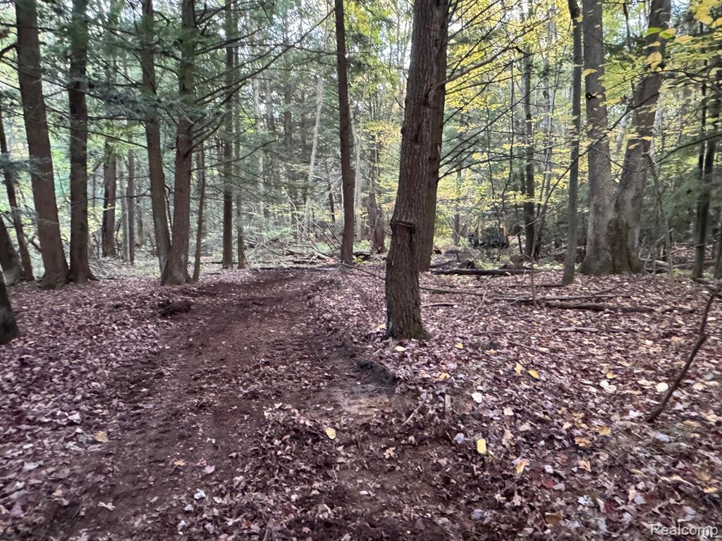 2829 Mushroom Road, Caro, MI 48723 — Photo 28