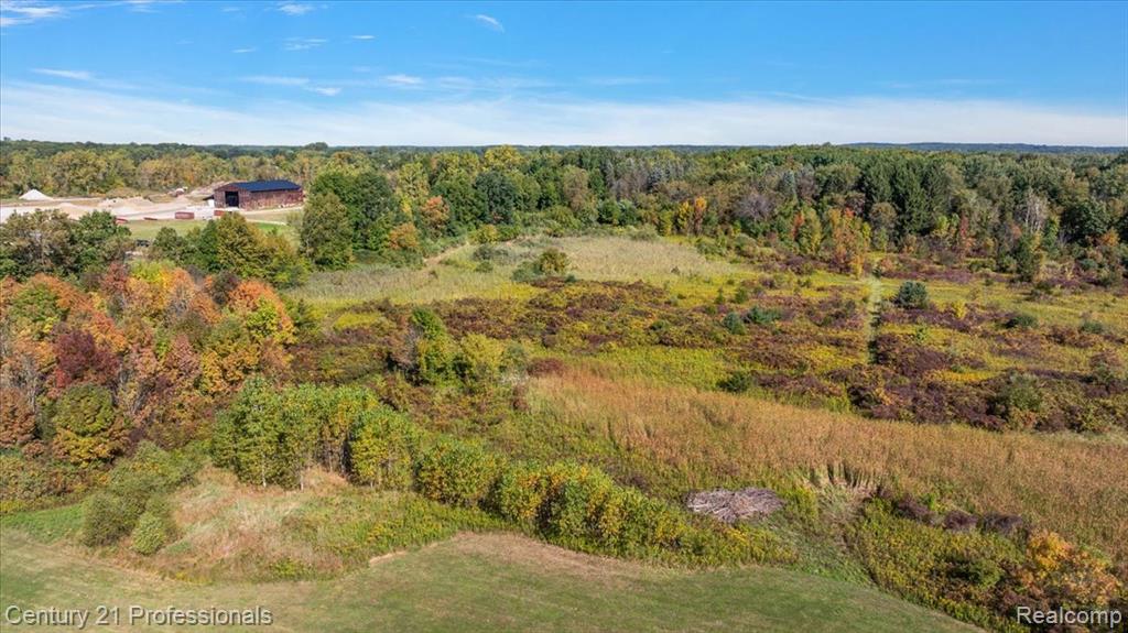 806 Davis Lake Road, Mayfield, MI 48446 — Photo 45