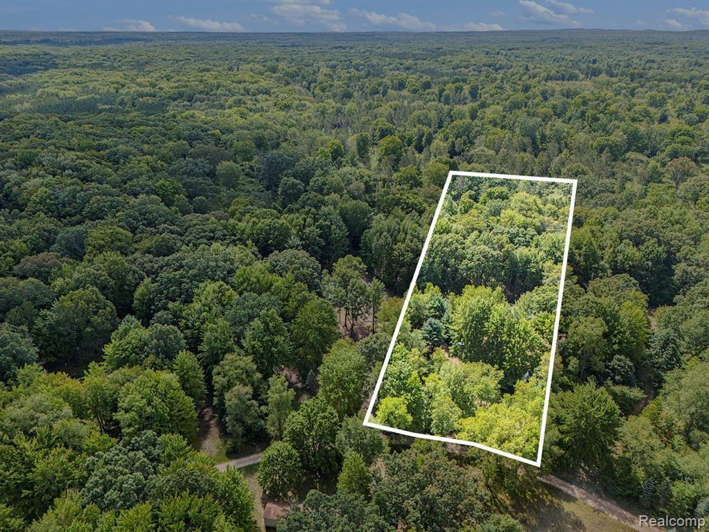 4977 E Buck Rub Road, Custer, MI 49405 — Photo 32
