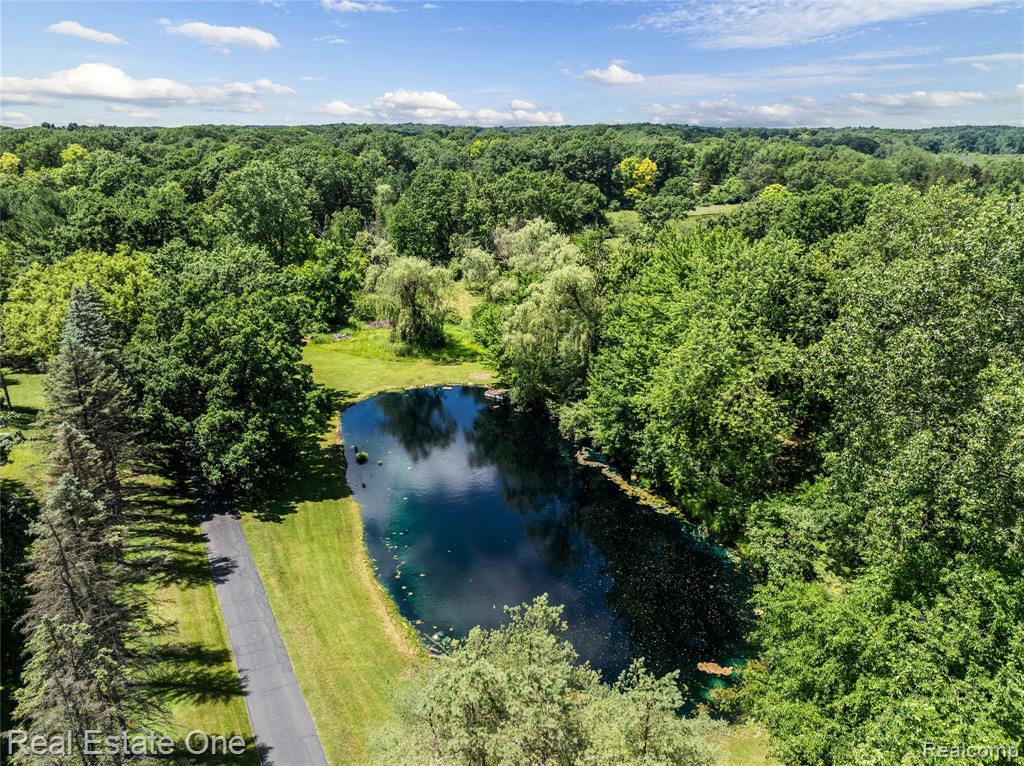 5336 Kensington Road, Brighton, MI 48114 — Photo 8