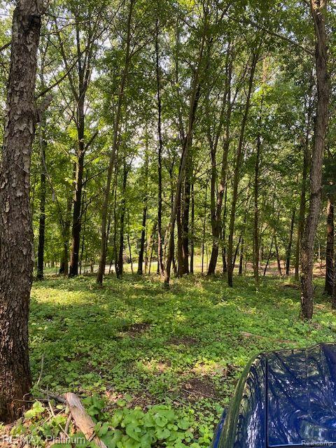 7 Sleaford-Parcel 7 - 2 Acres Road, Howell, MI 48843 — Photo 21
