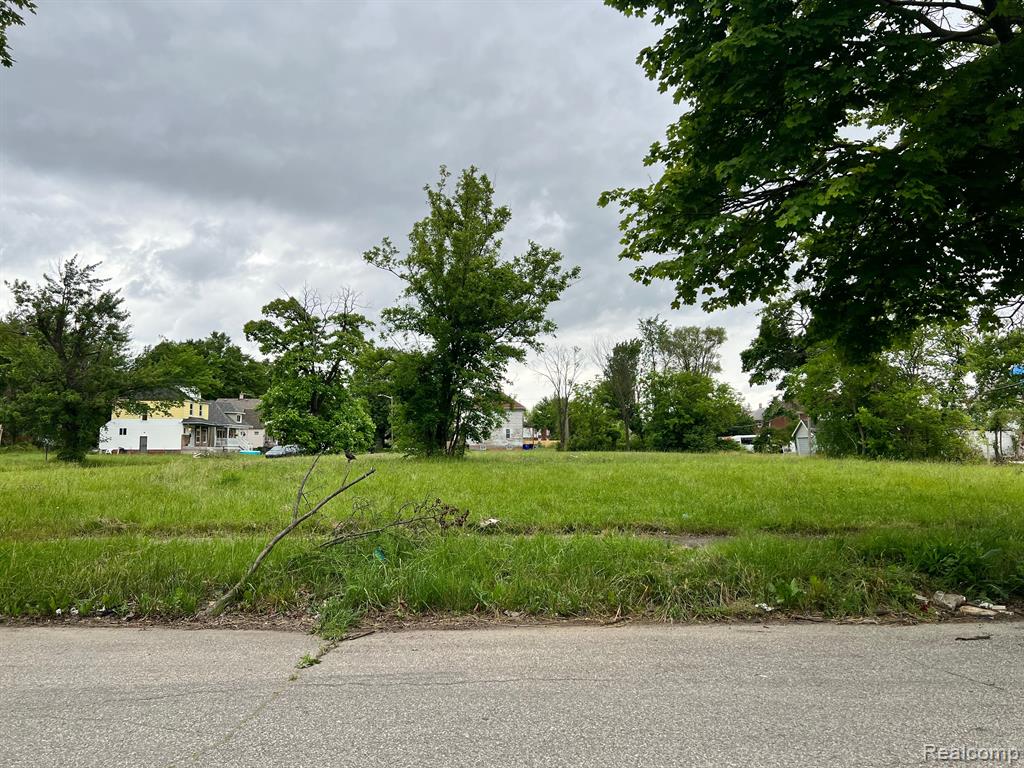 6502 HARTFORD Street, Detroit, MI 48210 — Photo 3