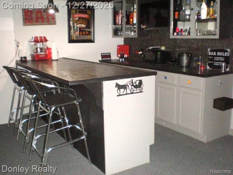 232 W Mills Street, Sandusky, MI 48471 — Photo 31