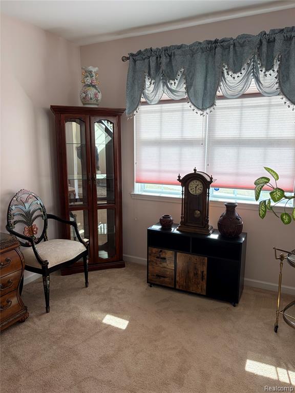 44265 Timberview Court, Belleville, MI 48111 — Photo 9