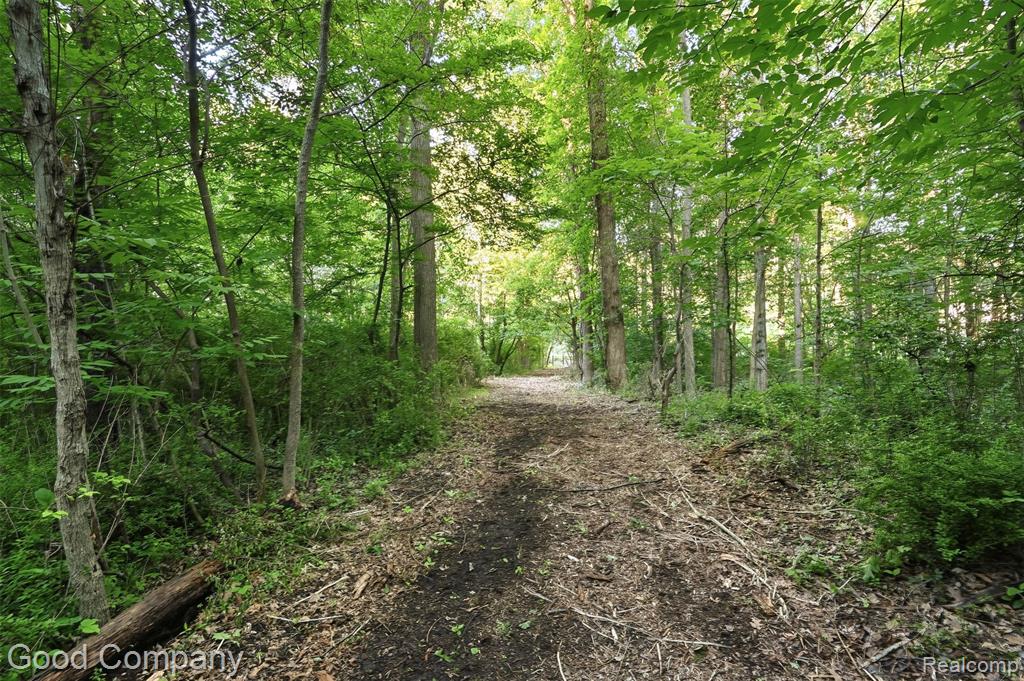 4575 Orion Road, Oakland, MI 48307 — Photo 10