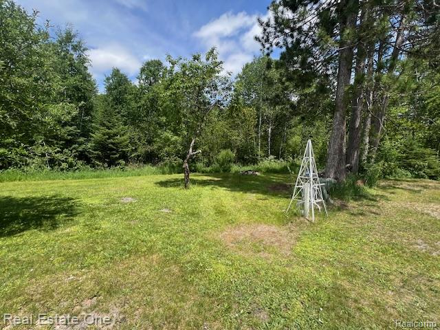 10264 State Highway M123, Newberry, MI 49868 — Photo 13