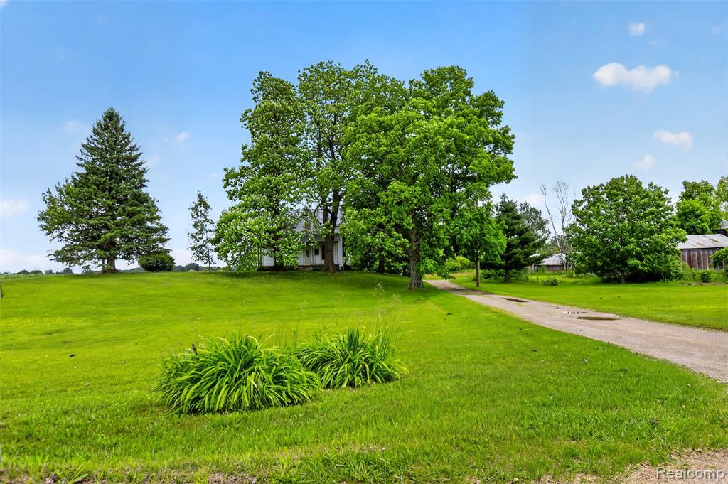 6007 Leix Road, Mayville Vlg, MI 48744 — Photo 31