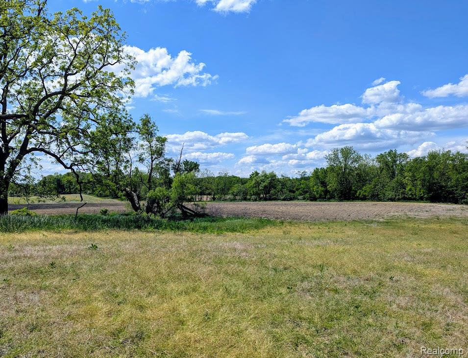 Parcel A - Rolston Road, Linden, MI 48451 — Photo 17