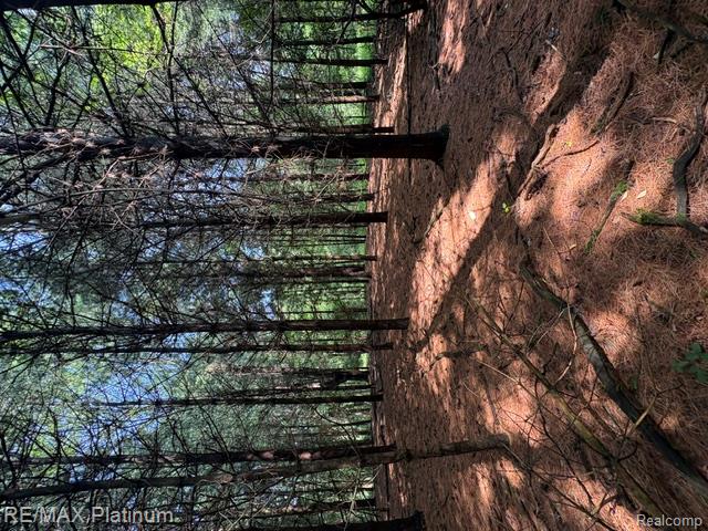 Parcel 5 Dauner Road, Fenton, MI 48430 — Photo 3