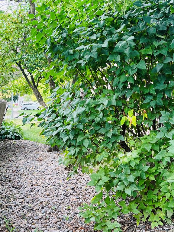 539 Zehnder Drive, Frankenmuth, MI 48734 — Photo 15