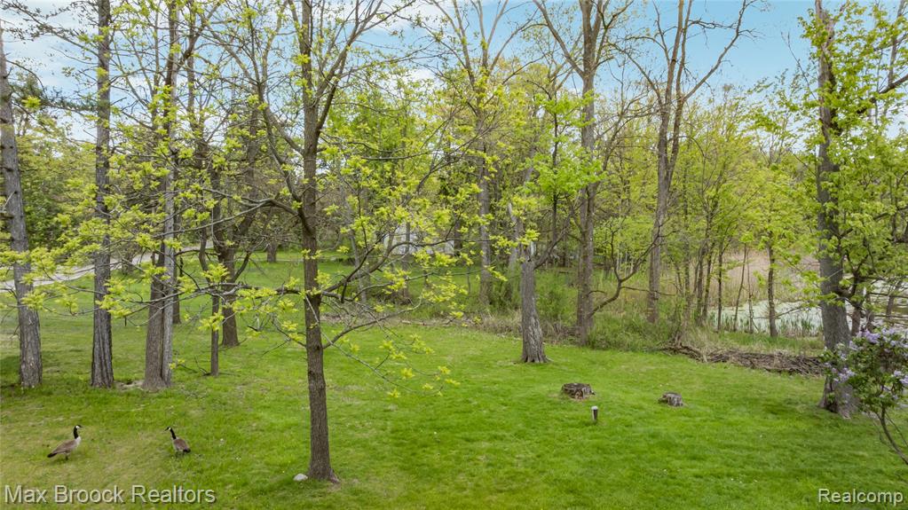 4769 Halsted Road, West Bloomfield, MI 48323 — Photo 8