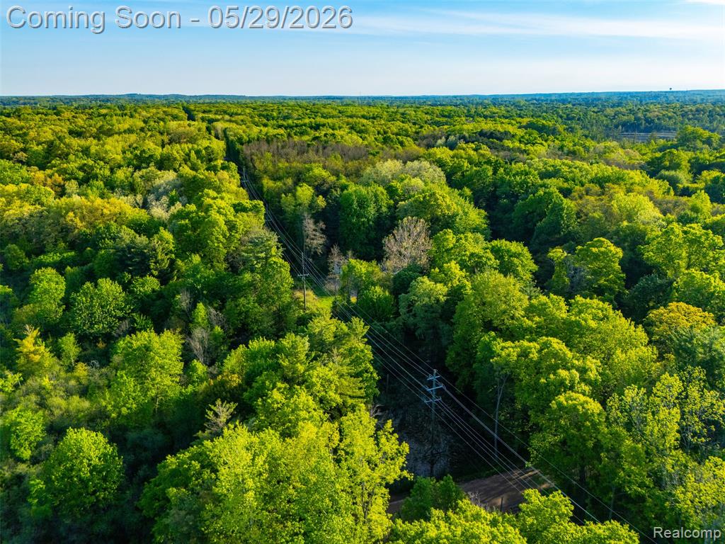 3432 Stanton Road, Oxford, MI 48371 — Photo 46