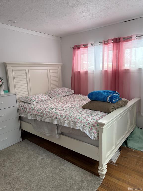 766 Louisa Street, Mount Morris, MI 48458 — Photo 12