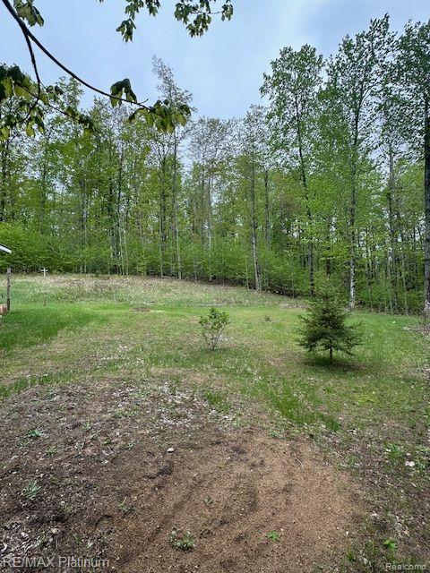 3624 WINDY HOLLOW ROAD NW, Rapid City, MI 49676 — Photo 13