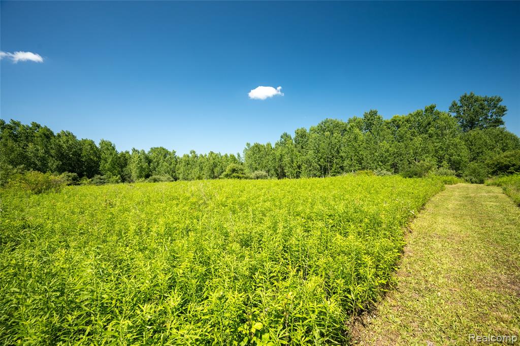 00 Hagerman Road, Leonard, MI 48367