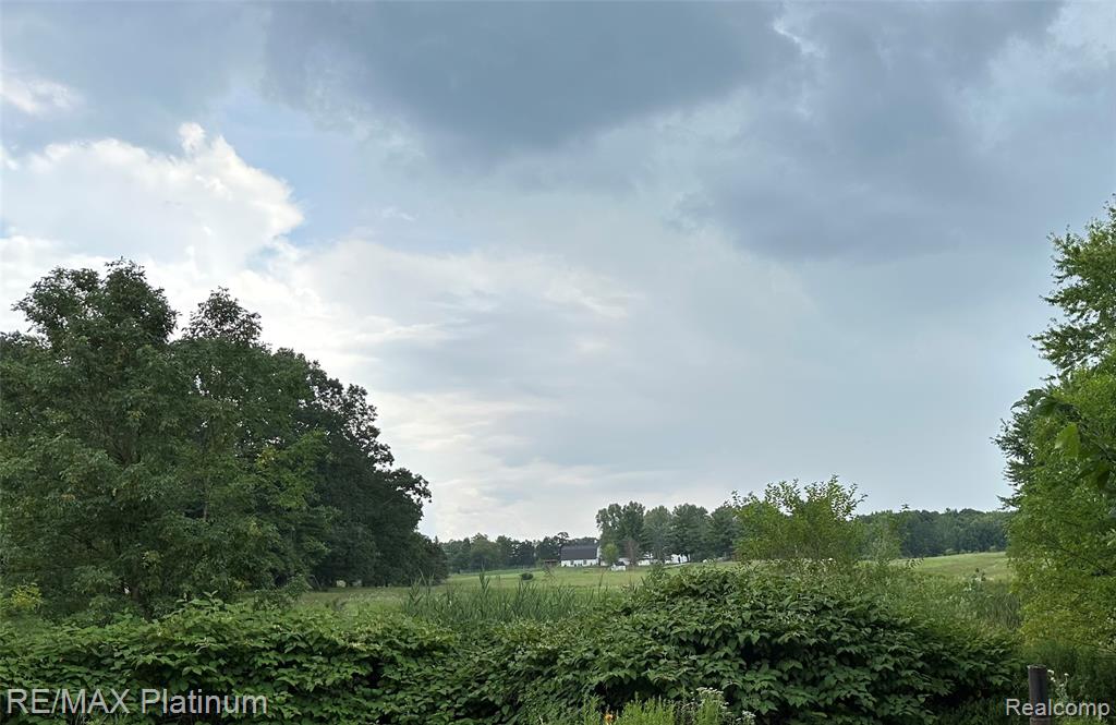 5741 Crandall Road, Howell, MI 48855 — Photo 5